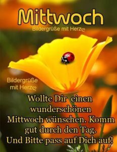 mittwoch morgen spruche mittwoch pics