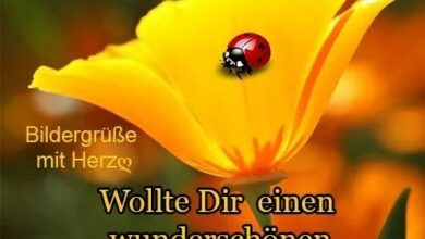 ᐅ mittwoch morgen spruche mittwoch pics - mittwoch morgen spruche mittwoch pics GB Pics - GBPicsBilder