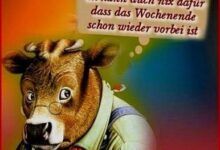 ᐅ montagsbilder lustig pics - Montag GB Pics - GBPicsBilder
