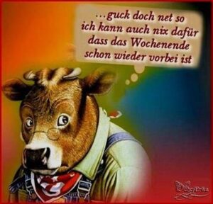 montagsbilder lustig pics