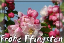 ᐅ pfingstgrüße whatsapp - Pfingsten Bilder GB Pics - GBPicsBilder