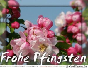 pfingstgrüße whatsapp