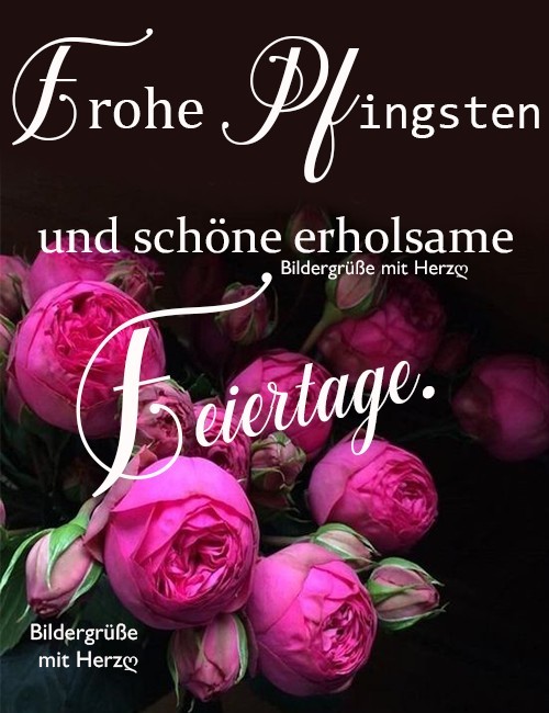 Pfingstgr e Whatsapp G stebuchbilder Und Spr che