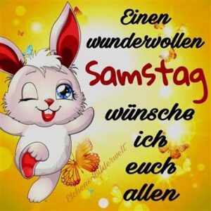samstags bilder