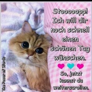 schonen sonntag bilder fur whatsapp pics
