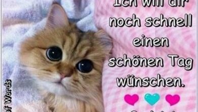 ᐅ schonen sonntag bilder fur whatsapp pics - Wochenende GB Pics - GBPicsBilder