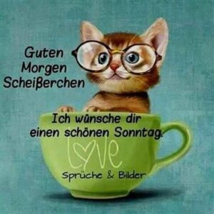 schonen sonntag lustige spruche pics