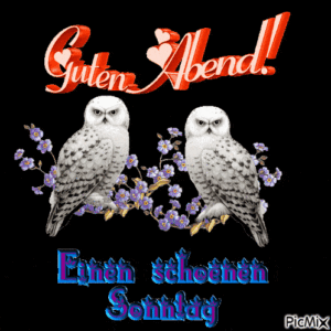 sonntag abend gif pics