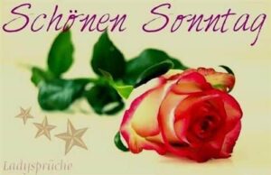sonntagmorgen grusse