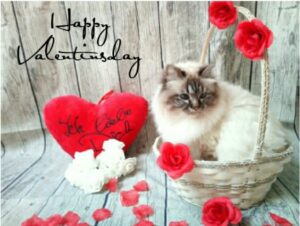valentinstagsgruesse