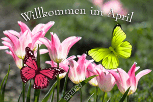 april bilder kostenlos