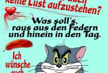 ᐅ dienstag bilder lustig kostenlos 2 - Dienstag GB Pics - GBPicsBilder