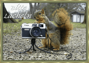 frohliches wochenende bilder
