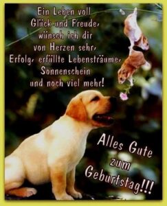lustige geburtstagsbilder kostenlos