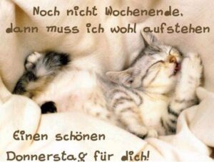 schönen donnerstag bilder kostenlos