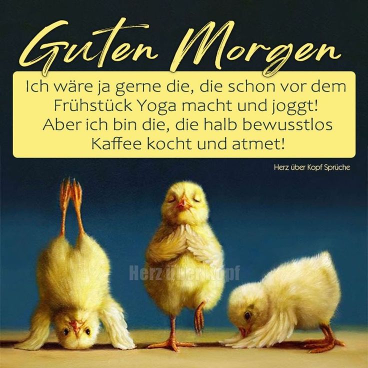 ᐅ ausgefallen verrückt freche guten morgen grüße - Guten Morgen GB Pics - GBPicsBilder