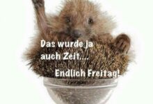 ᐅ endlich freitag bilder - Freitag GB Pics - GBPicsBilder