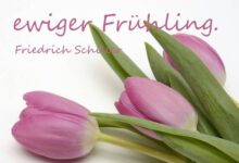 ᐅ fensterbilder frühling - Frühling GB Pics - GBPicsBilder