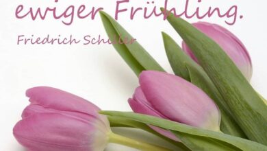 ᐅ fensterbilder frühling - Frühling GB Pics - GBPicsBilder