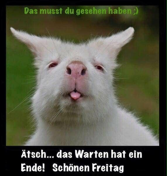 ᐅ freitag lustig - Freitag GB Pics - GBPicsBilder ᐅ freitag lustig - Freitag GB Pics - GBPicsBilder