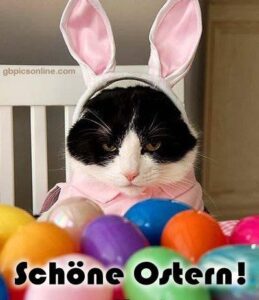 frohe ostern bilder lustig