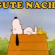 Gute Nacht