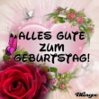Geburtstag