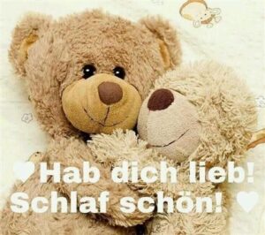 gute nacht bilder teddy