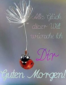 guten morgen bilder für freundin