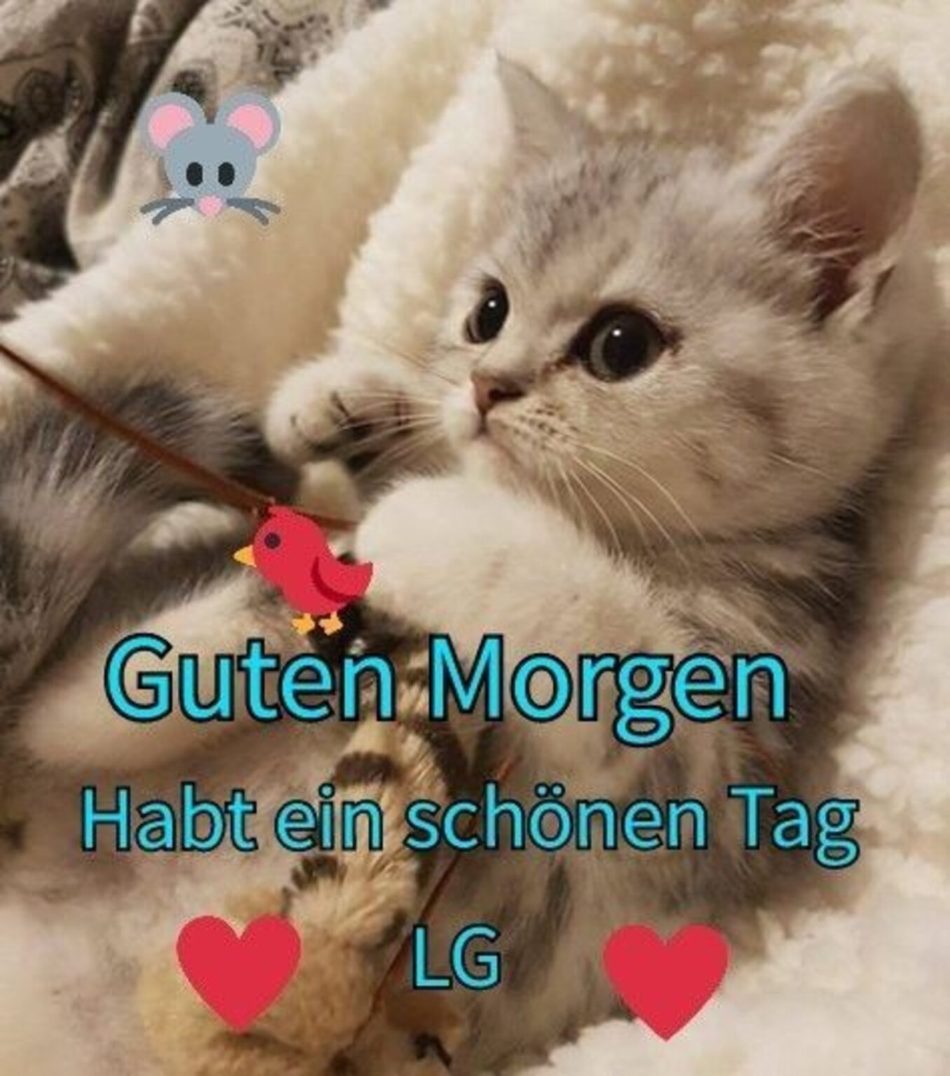 guten morgen bilder kostenlos für whatsapp