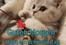 ᐅ guten morgen bilder für whatsapp kostenlos downloaden - Guten Morgen GB Pics - GBPicsBilder