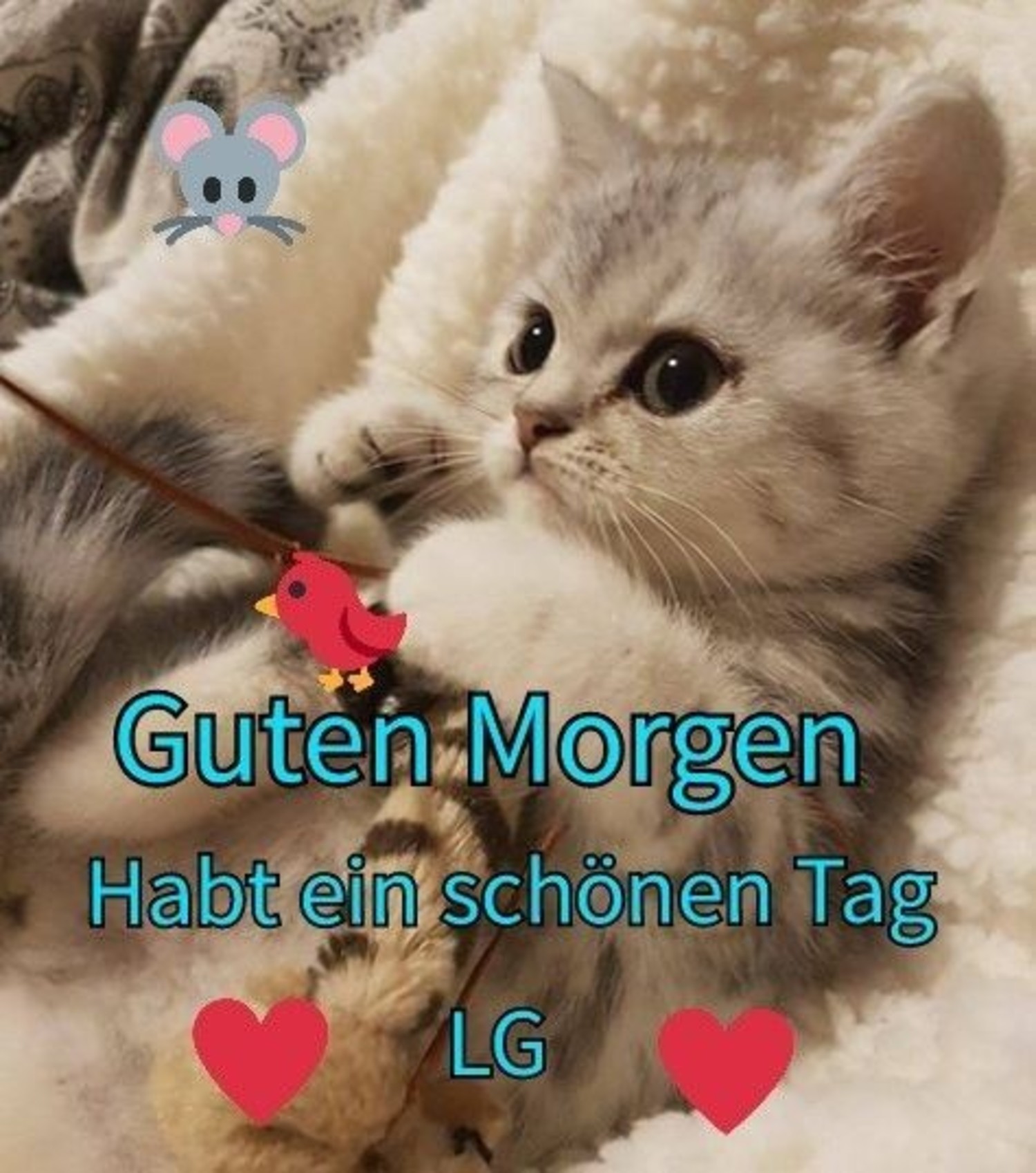 Guten Morgen Bilder F r Whatsapp Kostenlos Downloaden G stebuchbilder Guten Morgen Bilder F r Whatsapp Kostenlos Downloaden G stebuchbilder