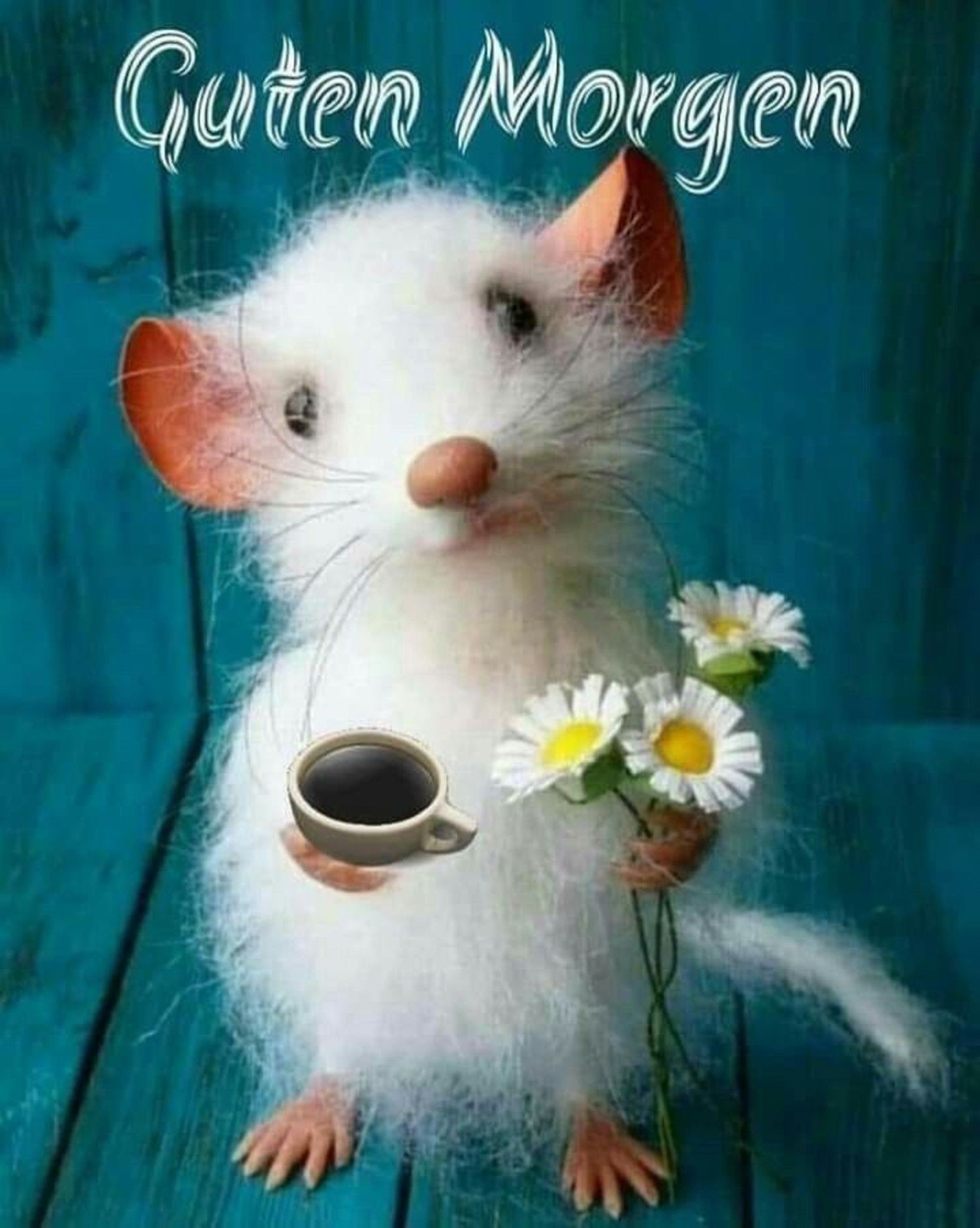 Guten Morgen Bilder Fur Whatsapp Kostenlos De Haus Blog Guten Morgen Bilder Fur Whatsapp Kostenlos De Haus Blog