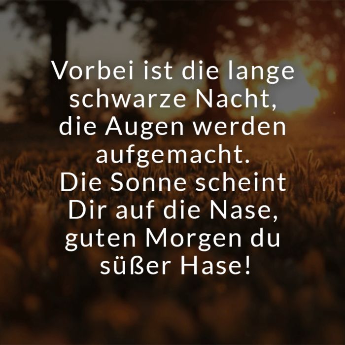 ᐅ guten morgen bilder mit text - Dienstag GB Pics - GBPicsBilder