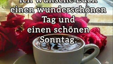 ᐅ guten morgen bilder und einen schönen sonntag - Guten Morgen GB Pics - GBPicsBilder