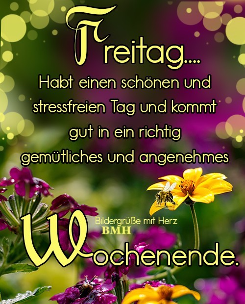 ᐅ guten morgen freitag - Freitag GB Pics - GBPicsBilder ᐅ guten morgen freitag - Freitag GB Pics - GBPicsBilder