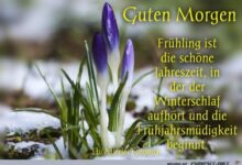 ᐅ guten morgen frühling bilder - Frühling GB Pics - GBPicsBilder