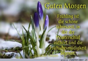 guten morgen frühling bilder