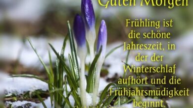 ᐅ guten morgen frühling bilder - Frühling GB Pics - GBPicsBilder