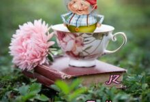 ᐅ guten morgen montag - Montag GB Pics - GBPicsBilder
