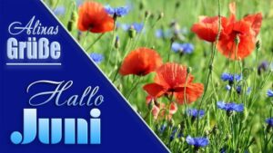 hallo juni bilder