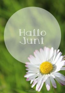 juni bilder