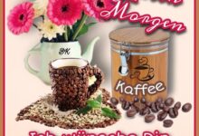 ᐅ kostenlose guten morgen bilder - Guten Morgen GB Pics - GBPicsBilder