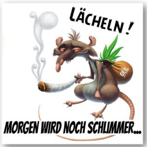 lustige bilder