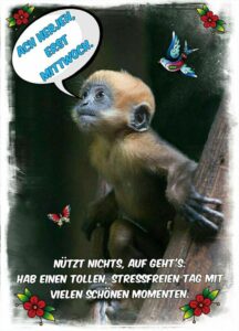 mittwochs titten