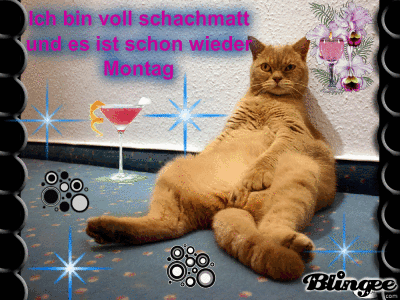 ᐅ montag wieder arbeiten bilder - Montag GB Pics - GBPicsBilder