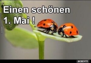 schönen 1 mai lustig