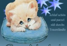 ᐅ süße gute nacht bilder kostenlos - Gute Nacht GB Pics - GBPicsBilder