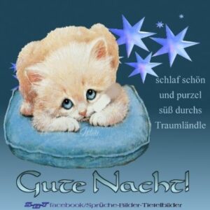süße gute nacht bilder kostenlos