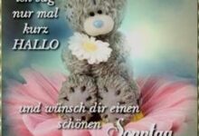 ᐅ whatsapp schönen sonntag bilder - Sonntag GB Pics - GBPicsBilder